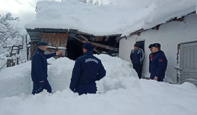 Kar kütlesi ahırın çatısını çökertti! 9 büyükbaş hayvan kurtarıldı!