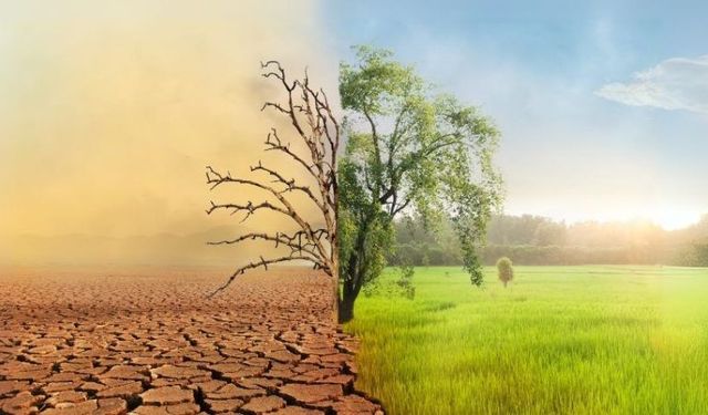 Türkiye’nin İlk İklim Kanunu TBMM’den Geçti