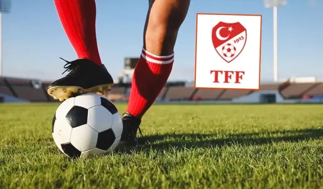 PFDK'dan bahis bombası! 2. Lig'de 282 futbolcuya ceza yağdı