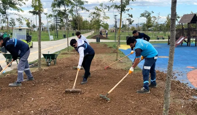 Gebze Millet Bahçesi'nde etkin çalışma
