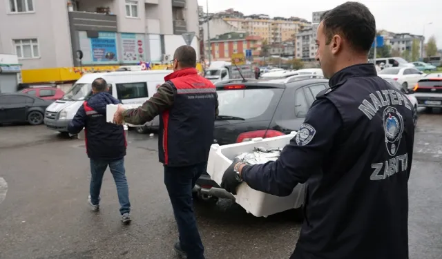 İstanbul Maltepe'de balık denetimi