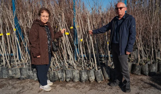 Kocaeli'nin fidan desteği meyvelerini veriyor
