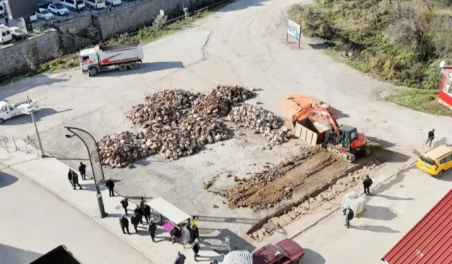 Ordu'da kent estetiğine yeni dokunuş