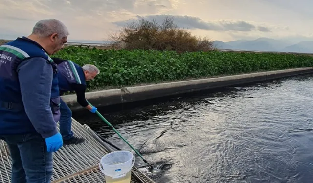 Gediz'de çevre kıyımına geçit yok!