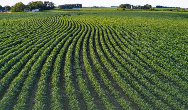 TAKE ile tarım arazileri daha verimli kullanılıyor