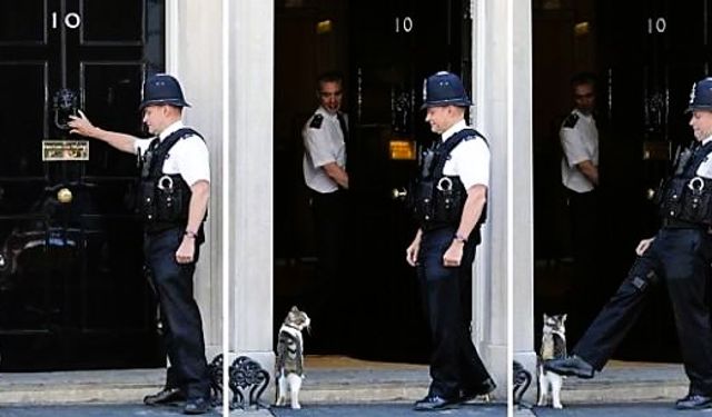 Diplomatik Krizlerin "Cool" Aktörü: Trump'ı Bekleten Güç!