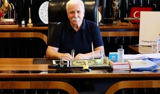 Kayseri Pınarbaşı'nda köpek katliamı