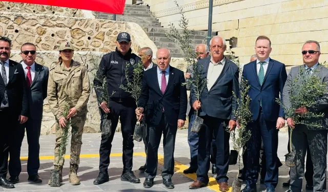 Mardin Yeşilli'de tarihi rekor! 102 bin meyveli fidan dağıtıldı