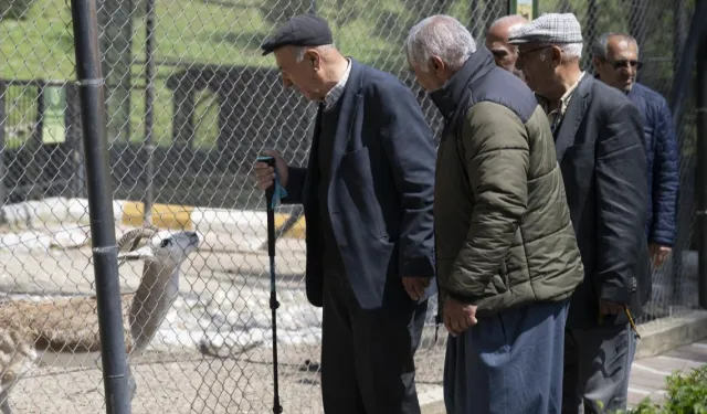 Mersin Büyükşehir, emeklileri doğayla buluşturuyor