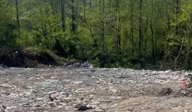 Rize'de vahşi depolamaya milyonluk ceza! Çevre'den suç duyurusu