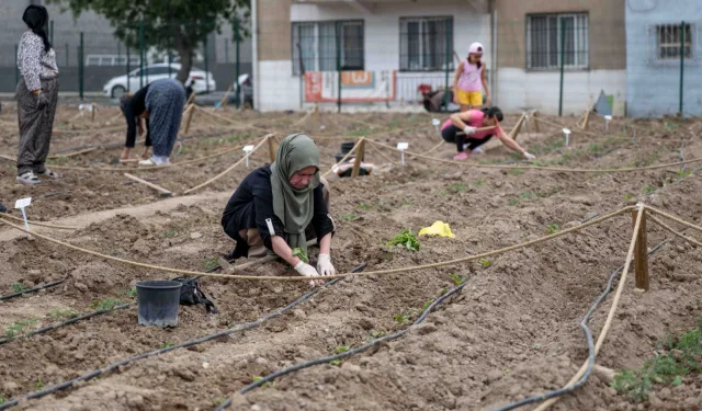 Avrupa'dan Bornova'ya kent bostanı incelemesi