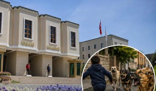 İçişleri'nden köpek saldırıları sonrası 3 belediye başkanı hakkında işlem... Muğla ve Erzurum'a soruşturma, Şanlıurfa'ya ön inceleme