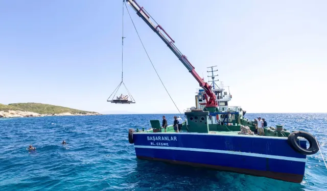 İzmir'de midye kabukları deniz yaşamına nefes olacak