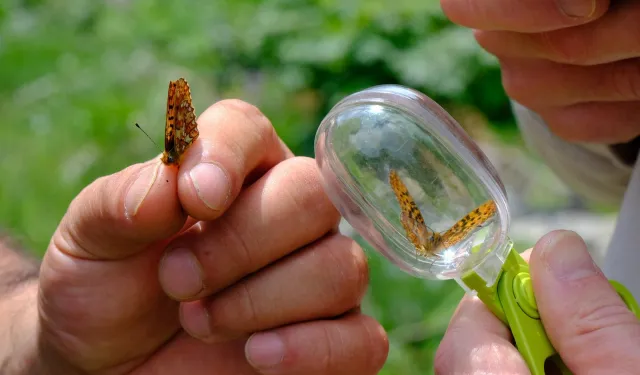 Kuzuyayla'nın zengin biyoçeşitliliği incelendi