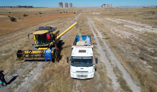 Kayseri Talas'ta tarımda öncü adım