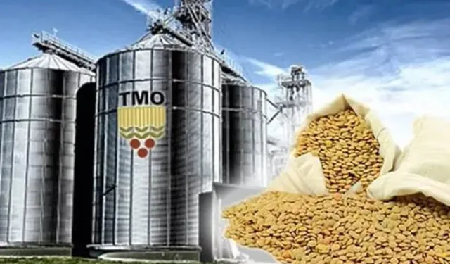 TMO'dan üreticilere 6,3 milyar liralık ödeme