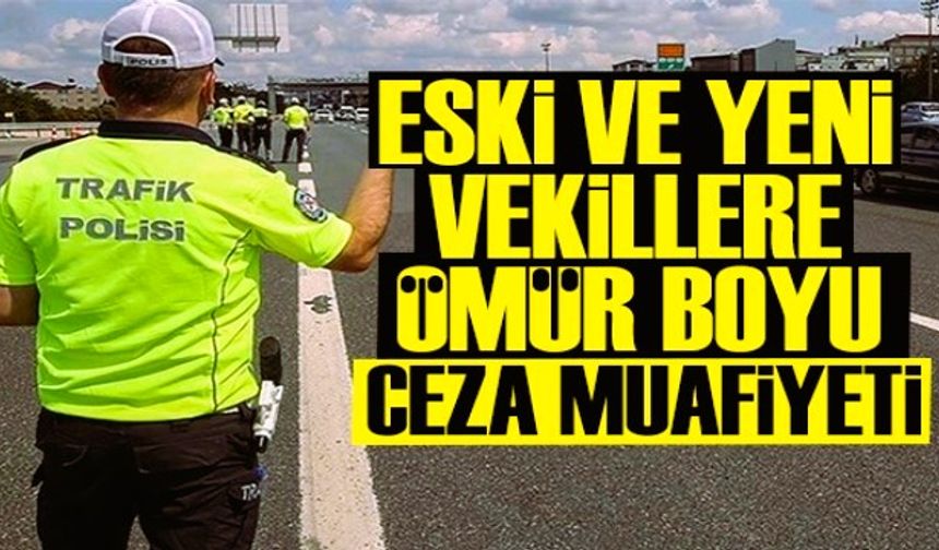 Siz Hangi Milletin Vekilisiniz?