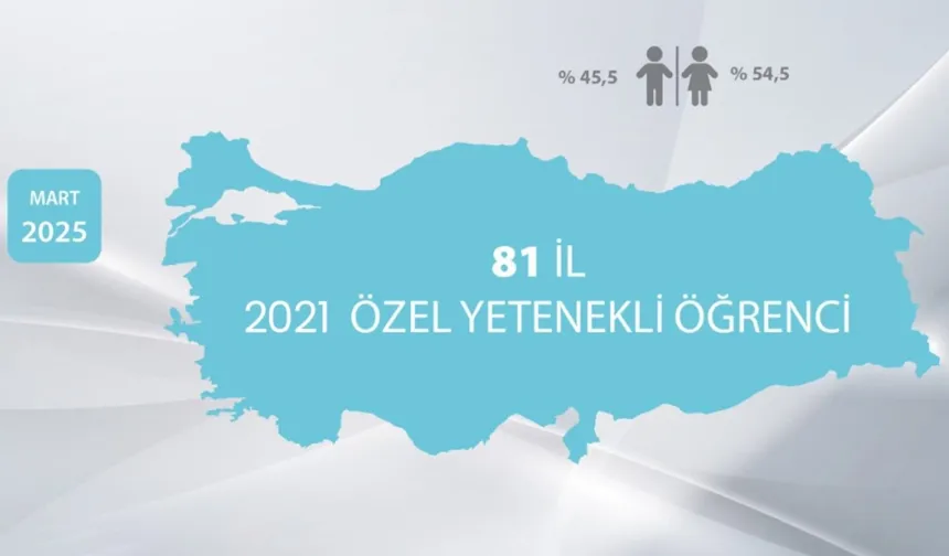 BİLSEM'li öğrencilerinin 'kariyer gelişimi' incelendi