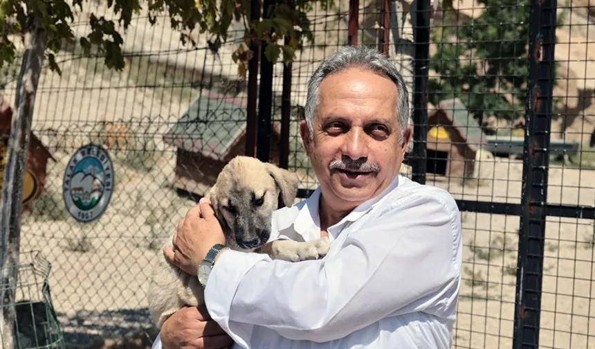 Kayseri Talas Pati Evi can dostlara yuva oluyor