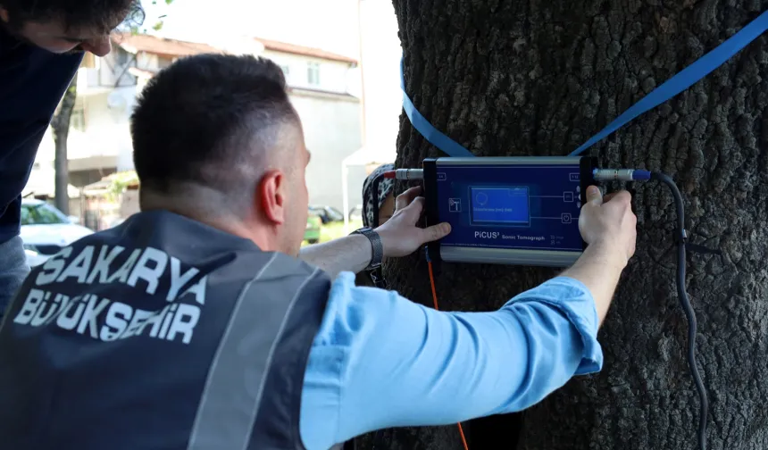 Sakarya'dan doğaya ‘şifa’ gibi adım... Yeşil cennetin tomografisi çekilecek