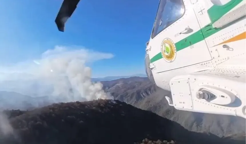 İran'daki orman yangınlarına Türkiye'den destek