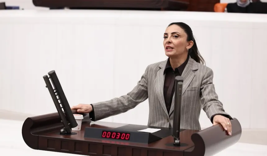 Bursa Yenişehir'de uyarılar dikkate alınmadı, felaket geldi!