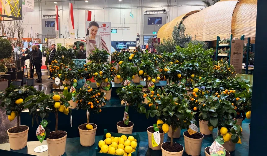 Kestel'in yeşil gücü Almanya'da görücüye çıktı