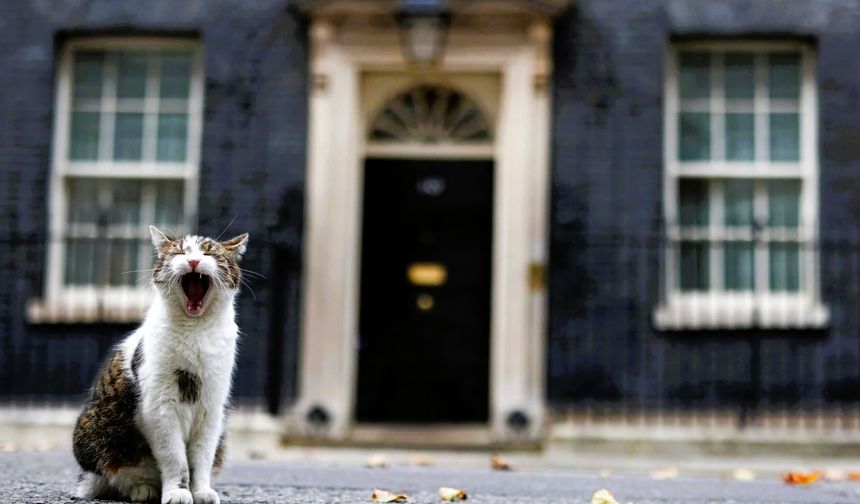 Sir Larry Memuriyette 15. Yılını Kutluyor