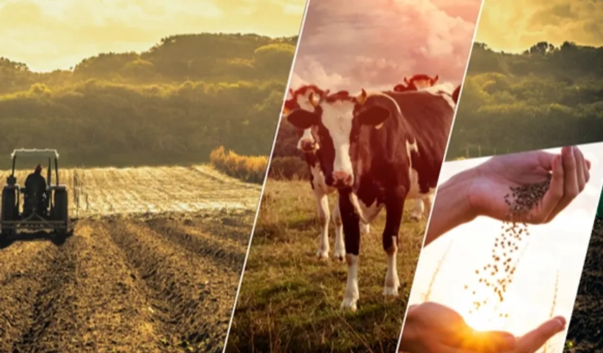 17,4 milyar TL'lik tarımsal destek çiftçilerin hesabında