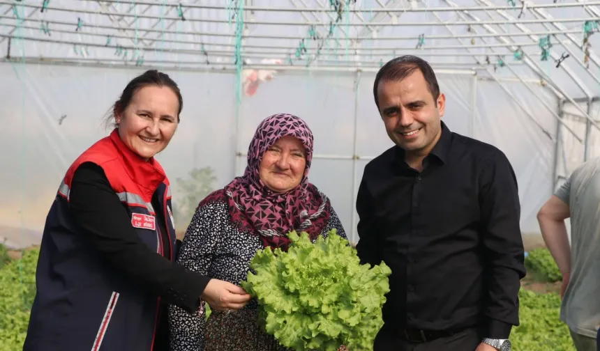 İpsala Esetçe'de 'Meryem Teyze' örneği... Yüzde 75 hibeli serada verimlilik artıyor