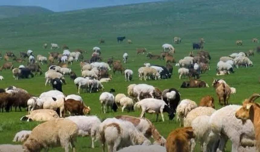 Kırsalda Bereket başvurularında son gün 30 Nisan