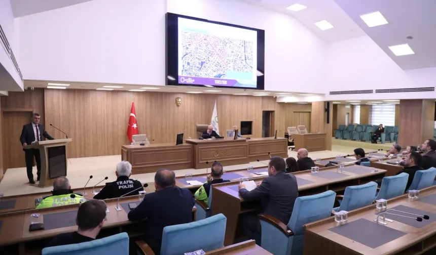 Ordu Altınordu'da bazı caddeler ücretli otopark oldu 