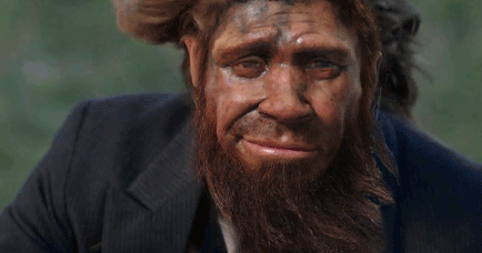 Türkiye de "Başıboş Hırt" Sorununu Çözecek Bir İrade Varmı?