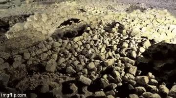 Tarihin En Büyük Sırrı Deşifre Oluyor...